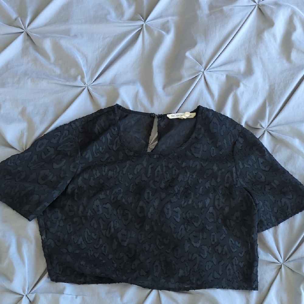 BCBG sheer Crop Top